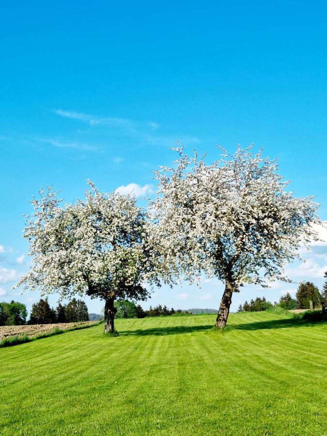 Ferienhaus Ritzmais Bischofsmais Zewnętrze zdjęcie