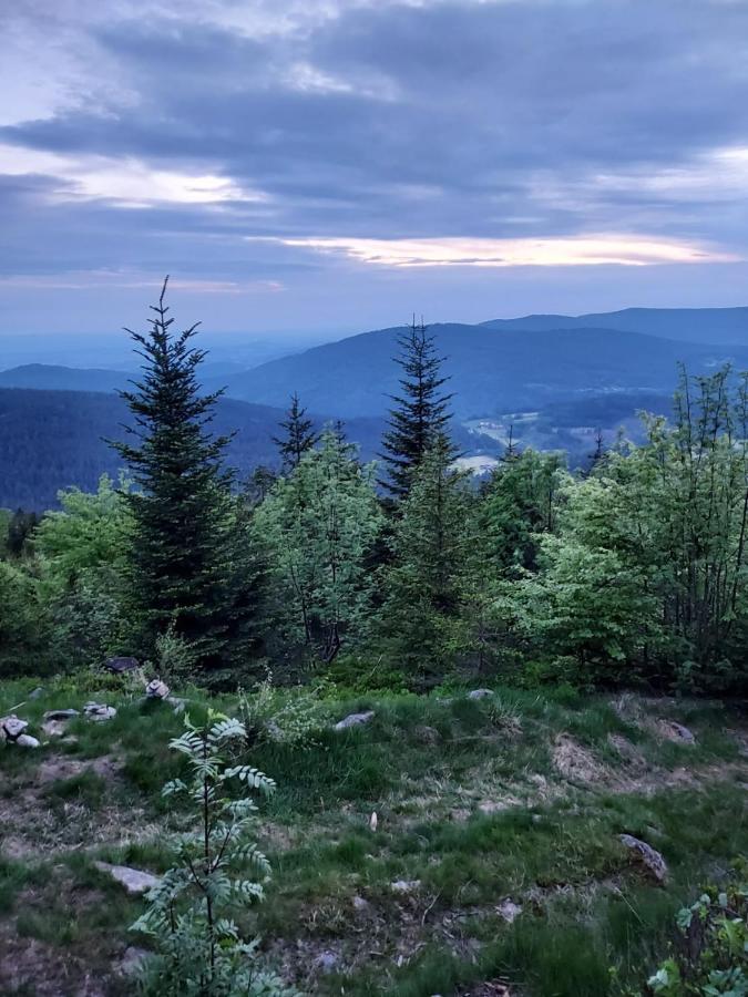Ferienhaus Ritzmais Bischofsmais Zewnętrze zdjęcie