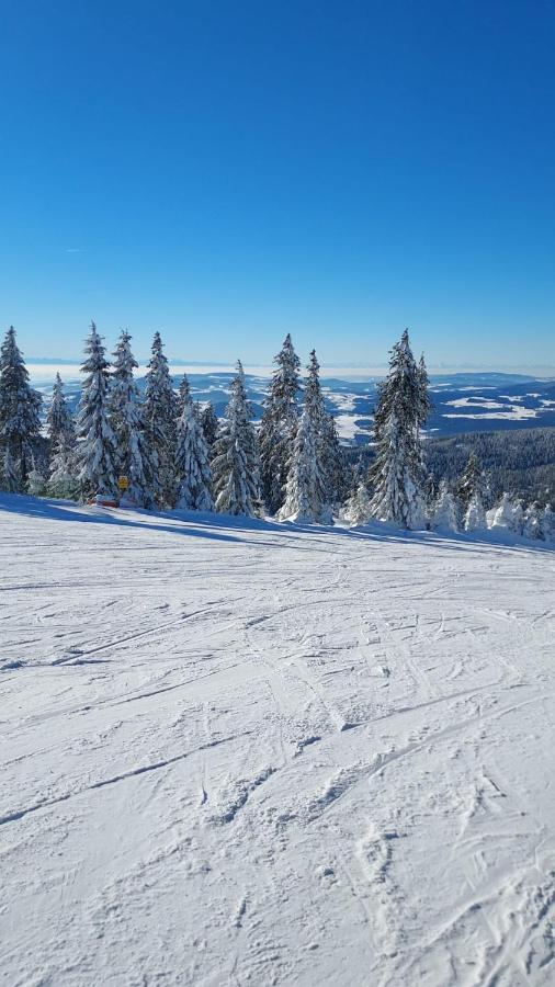 Ferienhaus Ritzmais Bischofsmais Zewnętrze zdjęcie